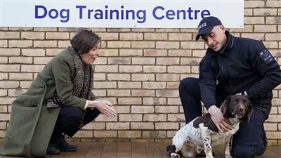 لمحاربة الجرائم المخلة ضد الأطفال.. كلاب رقمية تفضح المعتدين عليهم ببريطانيا