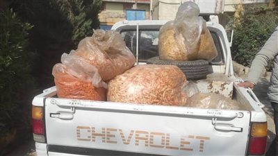 ضبط مخالفات تموينية متنوعة في بني سويف.. وإحالة المتورطين لجهات التحقيق