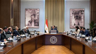 رئيس الوزراء يلتقي أعضاء لجنة الشئون السياسية في أول لقاء منفرد مع اللجان الاستشارية المتخصصة