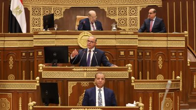 رئيس الرقابة المالية: 334 مليار جنيه صافي أصول شركات التأمين بنهاية يوليو الماضي