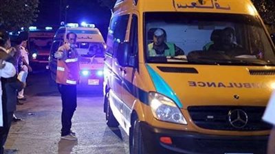 مصرع شابين صدمتهما تريلا في الوادي الجديد