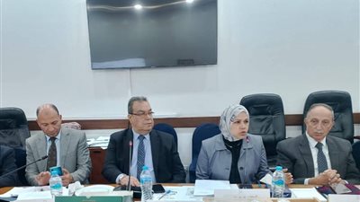 الضرائب: تسهيلات إضافية لدعم انضمام القطاع غير الرسمي للرسمي بنظام ضريبي مبسط