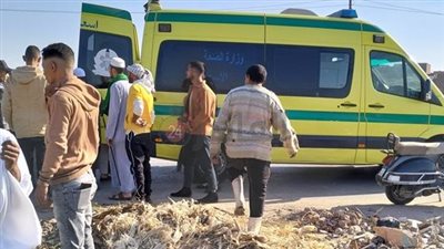 إصابة 5 أشخاص إثر تصادم سيارتين نقل في البحر الأحمر | بث مباشر