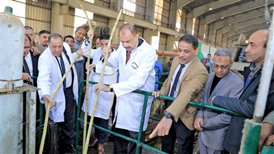 محافظ سوهاج يطلق إشارة بدء موسم عصير القصب | صور