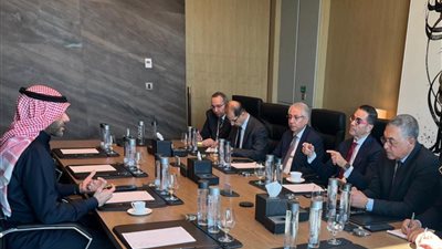 وزير الاستثمار: الغانم الكويتية تستهدف إنشاء مصنع للأنسولين ومنتجع على البحر الأحمر