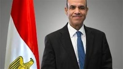 اليوم.. وزير الخارجية يعقد مباحثات مع رئيس الوزراء الفلسطيني وأمين سر حركة فتح 