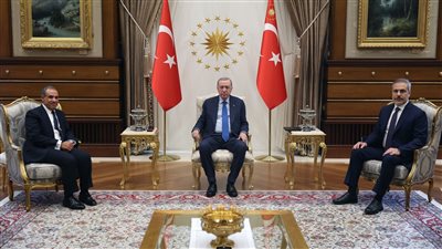 بتوجيهات رئيس الجمهورية.. وزير الخارجية يجتمع مع أردوغان لبحث التطورات الإقليمية والدولية