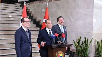 وزير الخارجية: الحكومة المصرية تتابع باهتمام أوضاع الاستثمارات التركية في البلاد