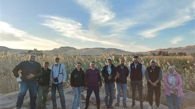 وزيرة البيئة: سياحة مشاهدة الطيور تعزز مكانة مصر في مجالي السياحة والبيئة