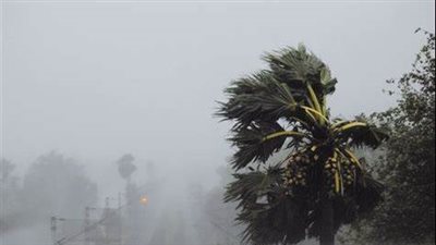 محافظة كفر الشيخ ترفع درجة الاستعداد بسبب التقلبات الجوية