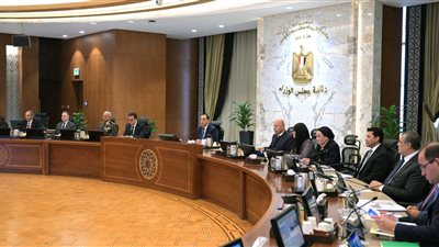 رئيس الوزراء: موقف مصر ثابت بشأن أهمية إعادة إعمار قطاع غزة