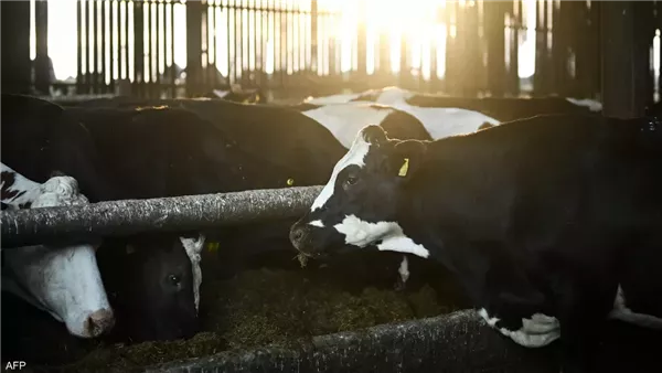 رصد سلالة جديدة من