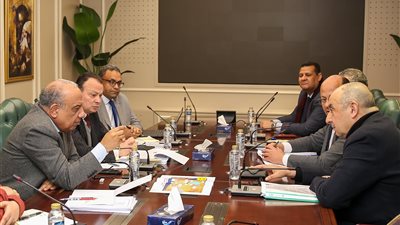 وزيرا الكهرباء وقطاع الأعمال العام يبحثان سبل التعاون في مجال الطاقة المتجددة والتحول الأخضر