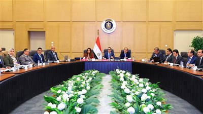 3 وزراء يبحثون تطوير منظومة الرقابة على الصادرات والواردات لتقليل زمن الإفراج الجمركي