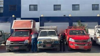 سيارات وكابلات كهرباء.. سقوط لصوص السرقة في القاهرة 