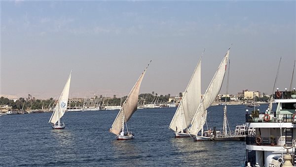 المراكب الشراعية