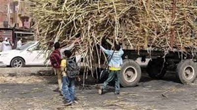 مصرع تلميذ أسفل جرار زراعي في سوهاج