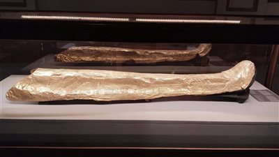 المتحف المصري بالتحرير يعرض كارتوناج مومياء بسوسنس الأول | صور 