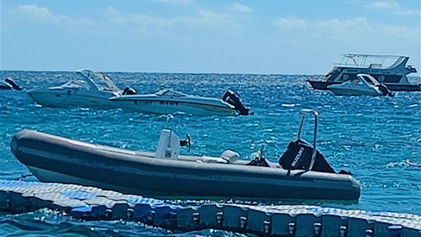 استئناف الرحلات البحرية