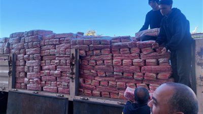 استعدادا لشهر رمضان.. شباب جنوب سيناء يجهزون مواد غذائية لإرسال قوافل مساعدات لغزة