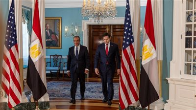 وزير الخارجية يؤكد لنظيره الأمريكي ثوابت الموقف المصري بشأن القضية الفلسطينية 