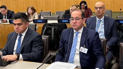 وزير المالية: نستهدف مبادرات جديدة لمبادلة الديون باستثمارات التنمية المستدامة والتحول الأخضر