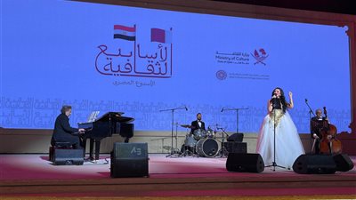 وزير الثقافة يتسلم تقريرًا عن فعاليات الأسبوع الثقافي المصري في قطر