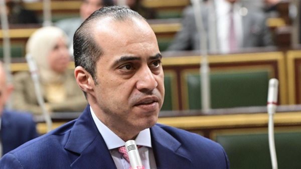 المستشار محمود فوزي