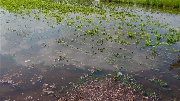 أراضي طرح النهر 