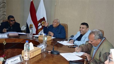 إعفاء التجار بمبادرات تخفيض الأسعار من الإيجار في الوادي الجديد