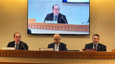 وزير المالية يطرح الأولويات المصرية لمعالجة تحديات الديون بإفريقيا