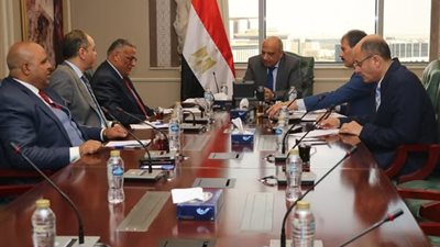 وزير الكهرباء: المثلث الذهبي يمثل محورا رئيسيا للاستثمار والصناعات التحويلية في جنوب مصر