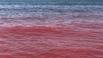  بسبب تربتها| شواطئ جزيرة هرمز تتحول لـ أنهار من اللون الأحمر.. ما القصة؟