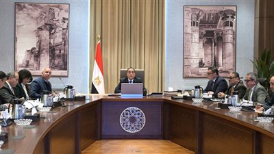 رئيس الوزراء يتابع الموقف التنفيذي للمراحل المتبقية لمشروع القطار الكهربائي الخفيف بشرق القاهرة