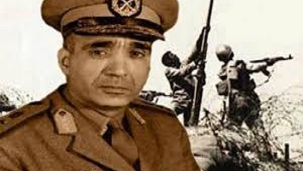 دور عبد المنعم رياض