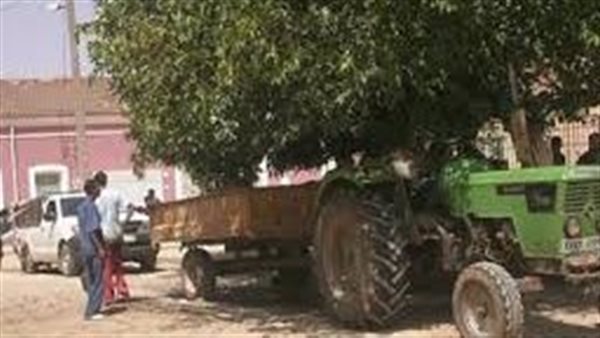 صورة أرشيفية