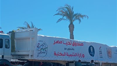 اليوم.. إرسال 150 طنًا من المساعدات الإنسانية لـ قطاع غزة من جنوب سيناء 