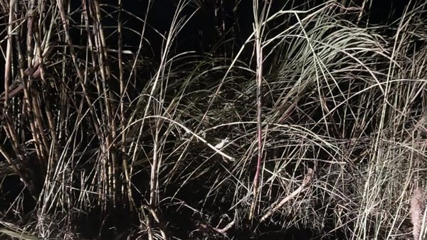 جانب من الحريق