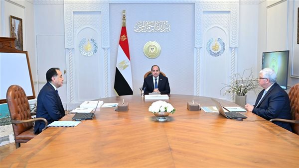 الرئيس السيسي خلال