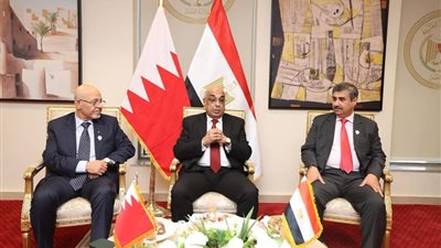 وزير العدل يستقبل رئيس المجلس الأعلى للقضاء بمملكة البحرين لبحث سبل التعاون في المجالات القانونية