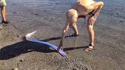 بسبب ارتباطها بالكوارث الطبيعية.. ظهور سمكة يوم القيامة على شواطئ إسبانيا والمكسيك يثير الذعر 