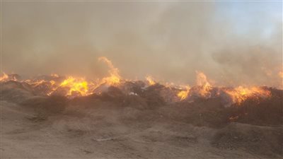 حريق بمخلفات أرض زراعية في قرية النعناعي بالبحيرة | صور