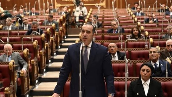 المستشار محمود فوزي