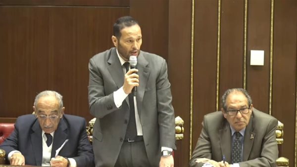 النائب محمد حلاوة