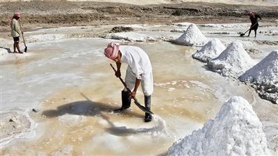 «وادى بلى» أشهر الأودية الجبلية بالبحر الأحمر| صور