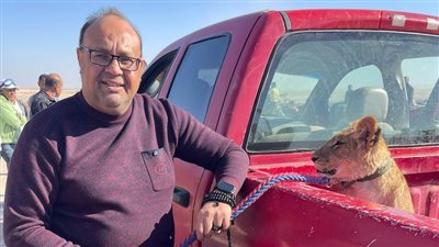 بعد قرار جهات التحقيق.. تسليم «شبل الأسد» بالغردقة لإحدى دور الرعاية بالجيزة