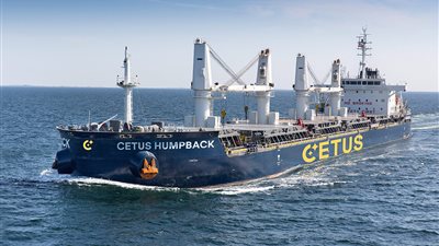 بحمولة 70 ألف طن قمح.. ميناء دمياط يستقبل السفينة CETUS القادمة من روسيا 