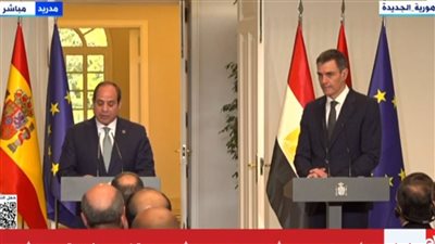 السيسي لـ رئيس وزراء إسبانيا: يجب إعادة إعمار غزة دون تهجير شعبها من أرضه