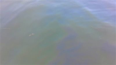 بسبب بقعة زيت في نهر النيل.. توقف محطات المياه بإدفو عن العمل 