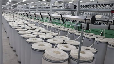 مصدر بالقابضة للغزل والنسيج: رئيس الشركة يعقد اجتماعا الآن لبحث أسباب الحريق وتعويض المصابين| خاص